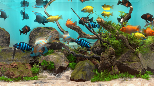 Behind Glass Aquarium Simulator Free Download